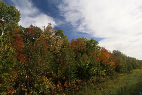 Tiny photo for 91 W Old County Hwy K, Bayfield, WI 54814 (MLS # 6128216)