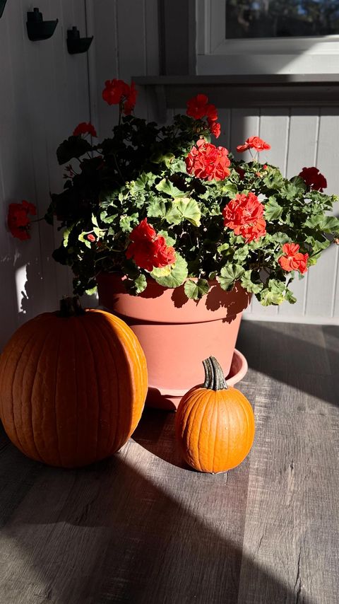 Tiny photo for 5215 Avondale St, Duluth, MN 55804 (MLS # 6122347)