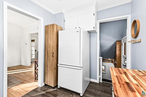 Tiny photo for 4025 Gladstone St, Duluth, MN 55804 (MLS # 6124170)