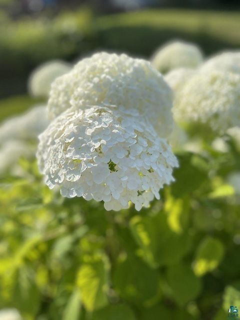 Tiny photo for 4025 Gladstone St, Duluth, MN 55804 (MLS # 6124170)