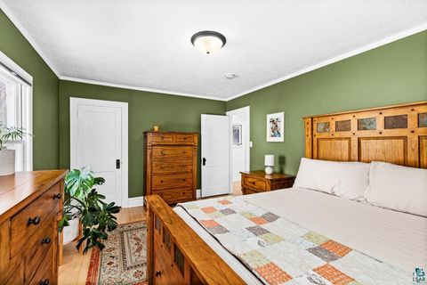 Tiny photo for 4025 Gladstone St, Duluth, MN 55804 (MLS # 6124170)