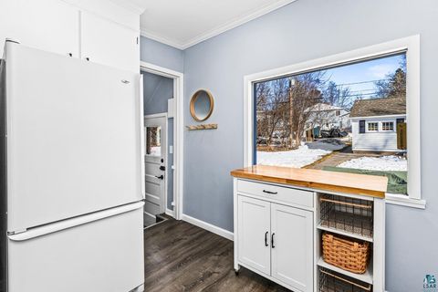 Tiny photo for 4025 Gladstone St, Duluth, MN 55804 (MLS # 6124170)