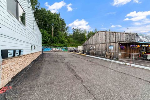 Tiny photo for 307 E Central Entrance, Duluth, MN 55811 (MLS # 6121896)