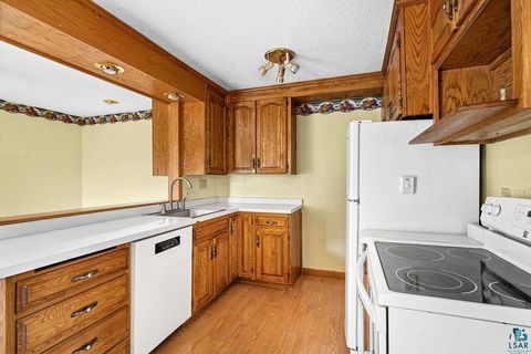 Tiny photo for 145 E Toledo St, Duluth, MN 55811 (MLS # 6125455)