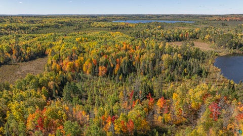 Tiny photo for 8989 Pulkinen Rd, Embarrass, MN 55732 (MLS # 6128416)