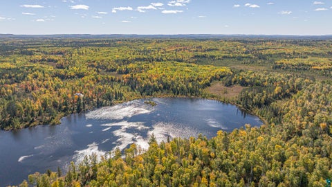 Tiny photo for 8989 Pulkinen Rd, Embarrass, MN 55732 (MLS # 6128416)