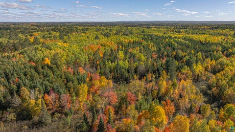 Tiny photo for 8989 Pulkinen Rd, Embarrass, MN 55732 (MLS # 6128416)