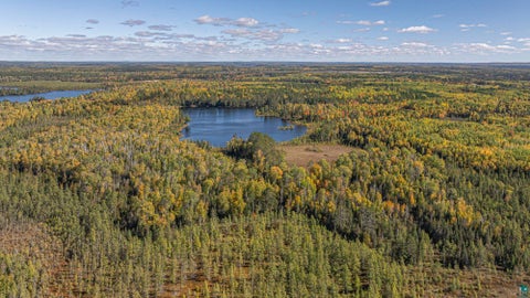 Tiny photo for 8989 Pulkinen Rd, Embarrass, MN 55732 (MLS # 6128416)