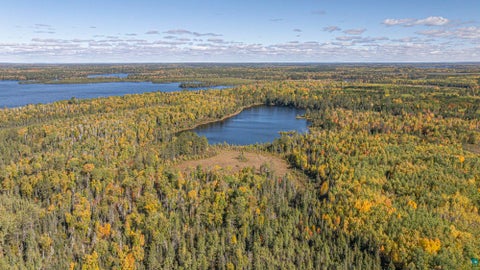 Tiny photo for 8989 Pulkinen Rd, Embarrass, MN 55732 (MLS # 6128416)