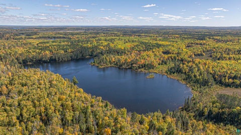 Tiny photo for 8989 Pulkinen Rd, Embarrass, MN 55732 (MLS # 6128416)