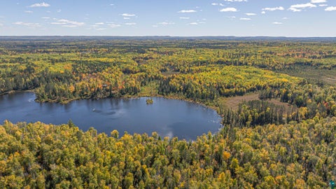 Tiny photo for 8989 Pulkinen Rd, Embarrass, MN 55732 (MLS # 6128416)