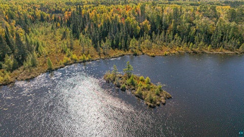 Tiny photo for 8989 Pulkinen Rd, Embarrass, MN 55732 (MLS # 6128416)
