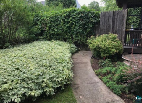 Tiny photo for 409 Maryland St, Duluth, MN 55803 (MLS # 6127961)