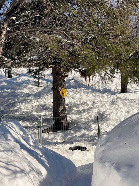 Tiny photo for 22 Hays Cr Cir, Silver Bay, MN 55614 (MLS # 6123307)