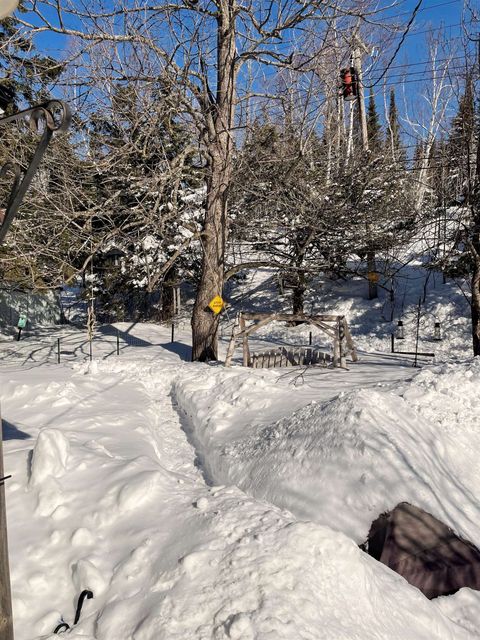 Tiny photo for 22 Hays Cr Cir, Silver Bay, MN 55614 (MLS # 6123307)