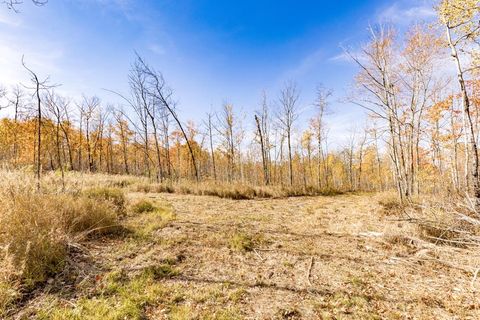 Tiny photo for xxx Amity Drive, Duluth, MN 55803 (MLS # 6123647)