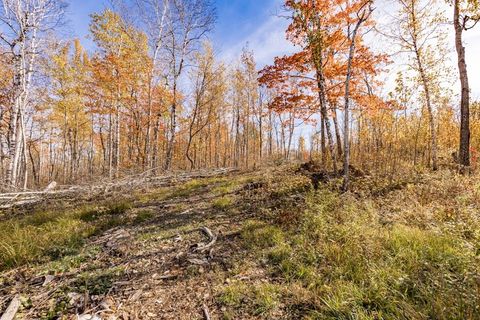Tiny photo for xxx Amity Drive, Duluth, MN 55803 (MLS # 6123647)