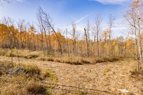 Tiny photo for xxx Amity Drive, Duluth, MN 55803 (MLS # 6123647)