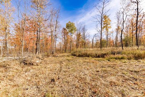 Tiny photo for xxx Amity Drive, Duluth, MN 55803 (MLS # 6123647)