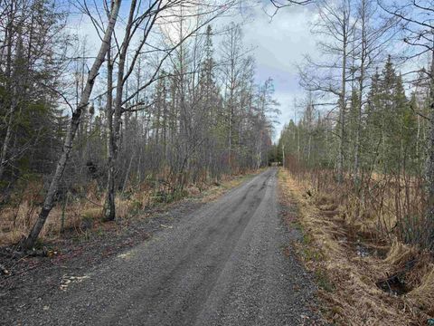 Tiny photo for 2217 Michael Beach Rd, Zim, MN 55738 (MLS # 6124992)