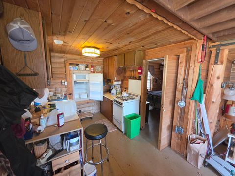 Tiny photo for 2217 Michael Beach Rd, Zim, MN 55738 (MLS # 6124992)