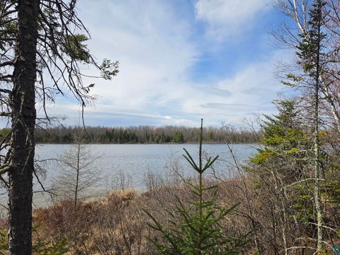 Tiny photo for 2217 Michael Beach Rd, Zim, MN 55738 (MLS # 6124992)