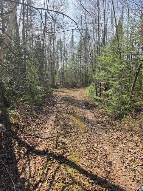 Tiny photo for 2217 Michael Beach Rd, Zim, MN 55738 (MLS # 6124992)