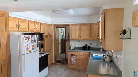 Tiny photo for 4477 Hitchcock Rd, Orr, MN 55771 (MLS # 6123755)