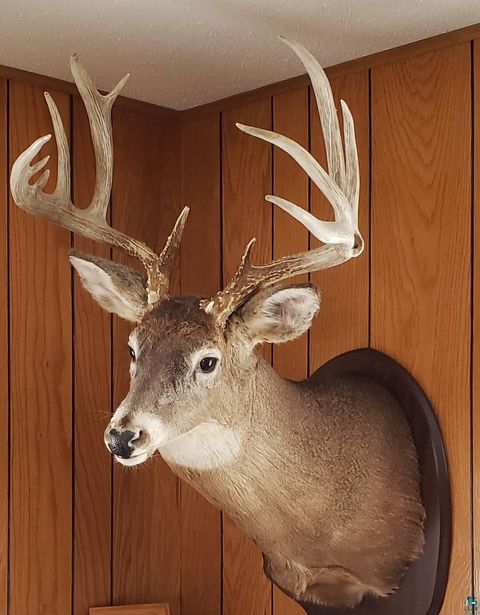 Tiny photo for 4477 Hitchcock Rd, Orr, MN 55771 (MLS # 6123755)