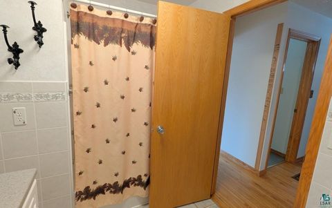 Tiny photo for 4477 Hitchcock Rd, Orr, MN 55771 (MLS # 6123755)