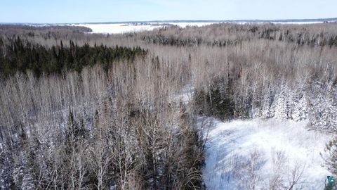 Tiny photo for 4477 Hitchcock Rd, Orr, MN 55771 (MLS # 6123755)