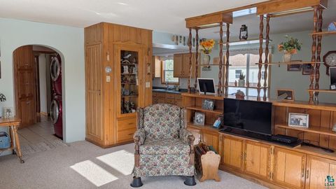 Tiny photo for 4477 Hitchcock Rd, Orr, MN 55771 (MLS # 6123755)