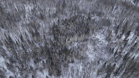 Tiny photo for 10 Lavaque Rd, Duluth, MN 55802 (MLS # 6123416)