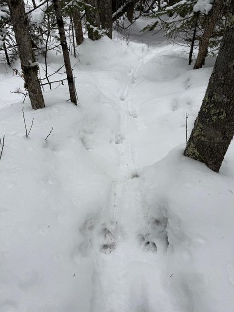 Tiny photo for 10 Lavaque Rd, Duluth, MN 55802 (MLS # 6123416)