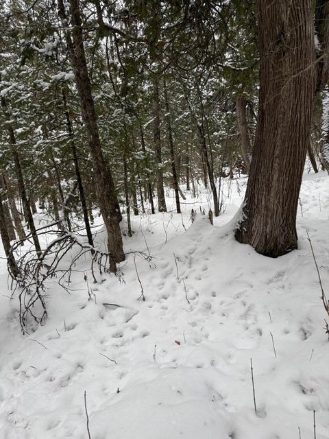 Tiny photo for 10 Lavaque Rd, Duluth, MN 55802 (MLS # 6123416)