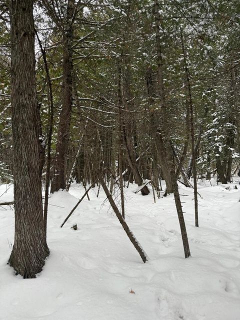 Tiny photo for 10 Lavaque Rd, Duluth, MN 55802 (MLS # 6123416)