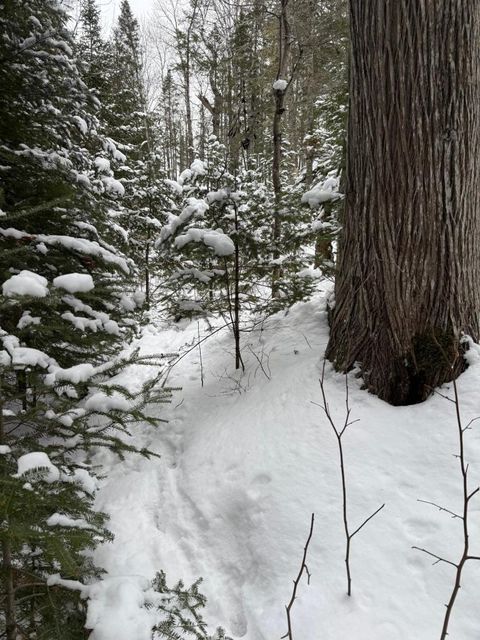 Tiny photo for 10 Lavaque Rd, Duluth, MN 55802 (MLS # 6123416)