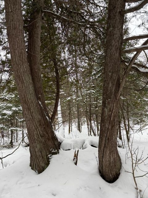 Tiny photo for 10 Lavaque Rd, Duluth, MN 55802 (MLS # 6123416)