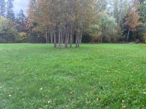 Photo of 1381 Carlton Rd, Cloquet, MN 55720 (MLS # 6128244)