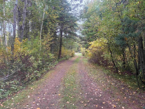 Tiny photo for 1381 Carlton Rd, Cloquet, MN 55720 (MLS # 6128244)