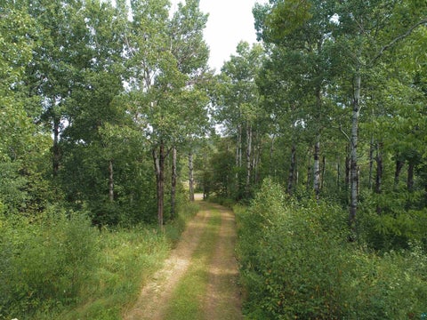 Tiny photo for 6555 Roses Rd, Finland, MN 55603 (MLS # 6127618)