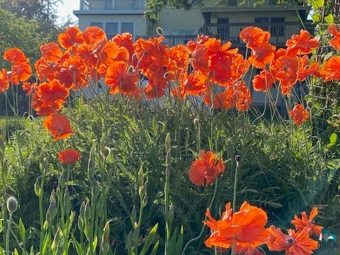 Tiny photo for 16 S 25th Ave E Ave, Duluth, MN 55812 (MLS # 6124103)