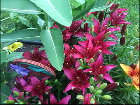 Tiny photo for 44 Harmony Dr, Esko, MN 55733 (MLS # 6124337)