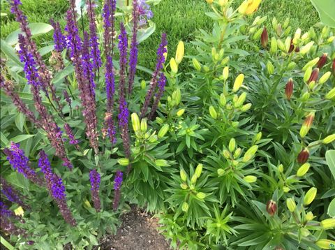 Tiny photo for 44 Harmony Dr, Esko, MN 55733 (MLS # 6124337)