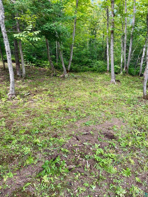 Tiny photo for 8800 Paul Rd, Brookston, MN 55711 (MLS # 6127683)
