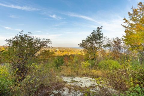 Tiny photo for 2 W 10th St, Duluth, MN 55806 (MLS # 6123258)