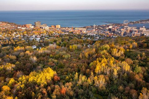 Tiny photo for 2 W 10th St, Duluth, MN 55806 (MLS # 6123258)