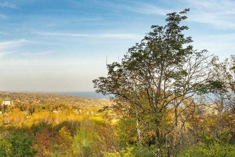 Tiny photo for 2 W 10th St, Duluth, MN 55806 (MLS # 6123258)