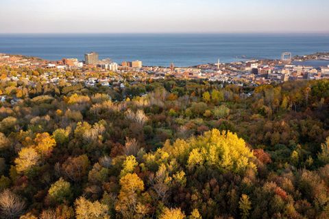 Tiny photo for 2 W 10th St, Duluth, MN 55806 (MLS # 6123258)