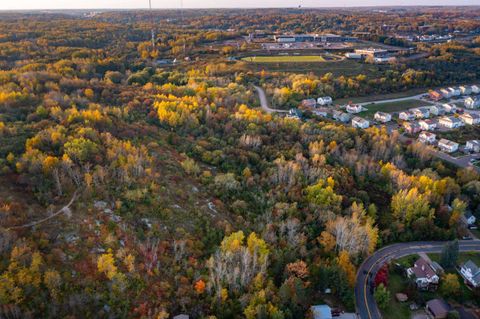 Tiny photo for 2 W 10th St, Duluth, MN 55806 (MLS # 6123258)